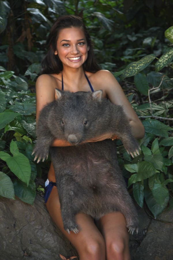 animals-michelle-v-wombat.jpg